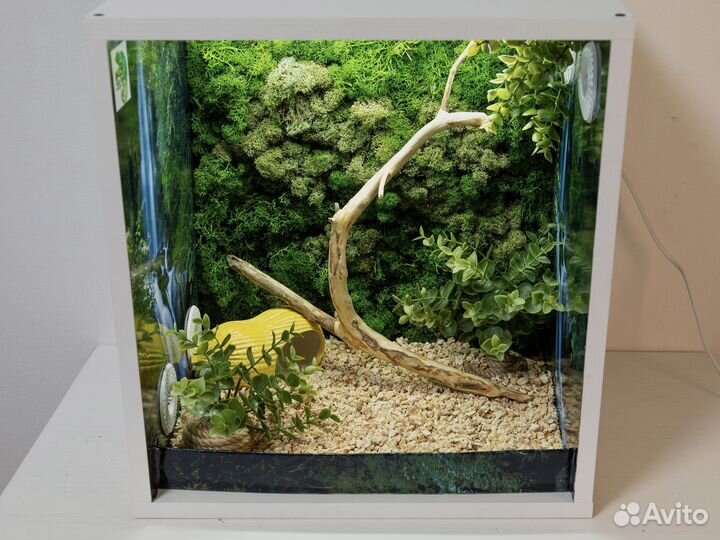 Террариум для рептилий (производство)