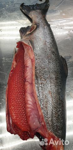 Чавыча дальневосточная (доставка)
