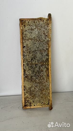 Мед в сотах, мед в рамке