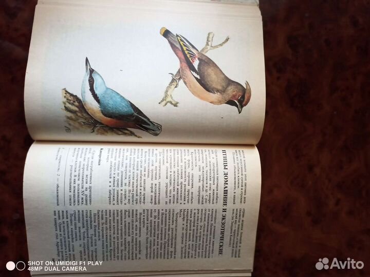 Полезная дом.литература