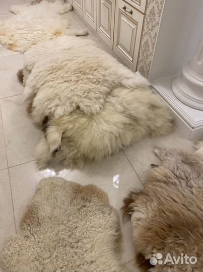 Шкура овечья