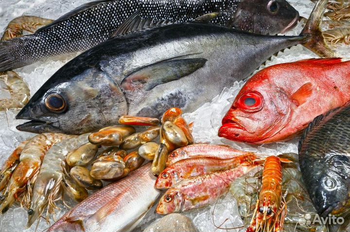 Франшиза свежих морепродуктов в топ-локации