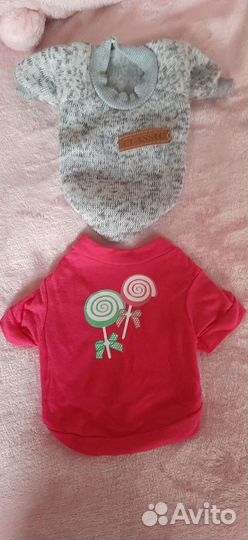 Вещи для маленьких собак