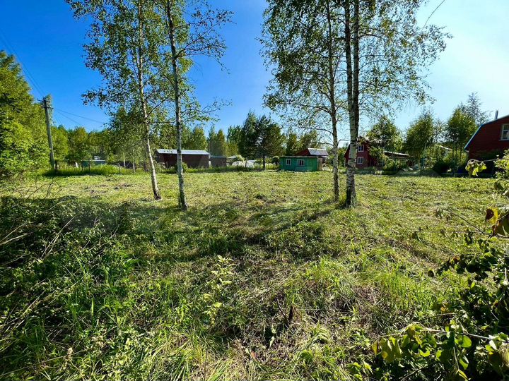 Участок 9,5 сот. (СНТ, ДНП)