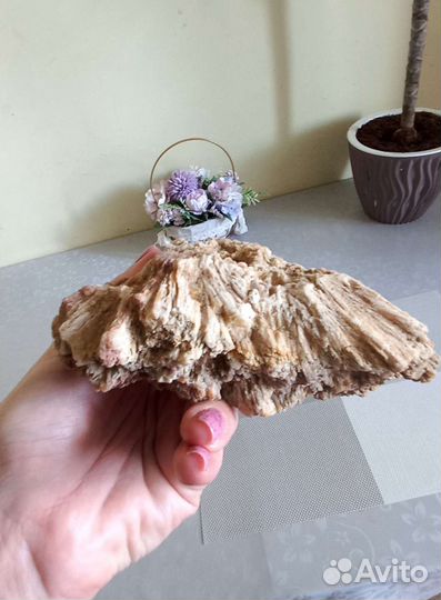 Окаменелость растение