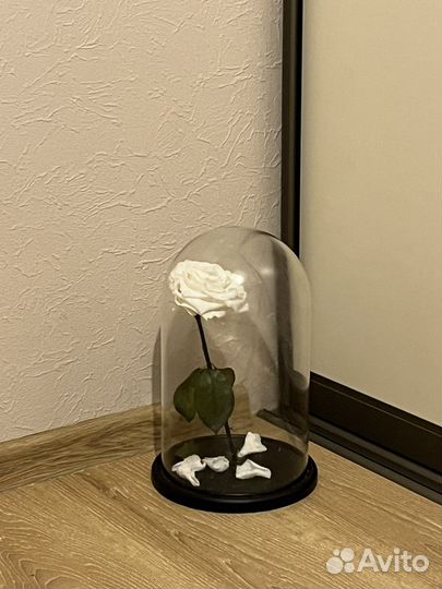 Вечная роза в колбе