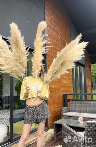 Пампасная трава оптом декор мероприятий