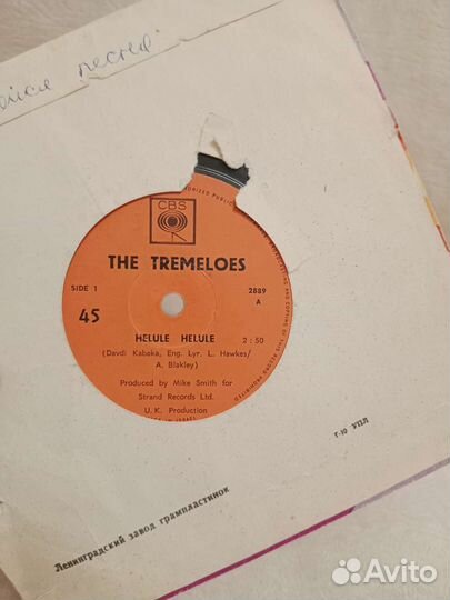 Виниловая пластинка