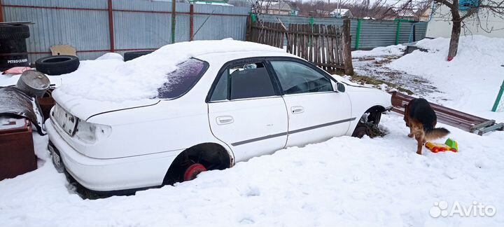 Двери Тойота карина 190