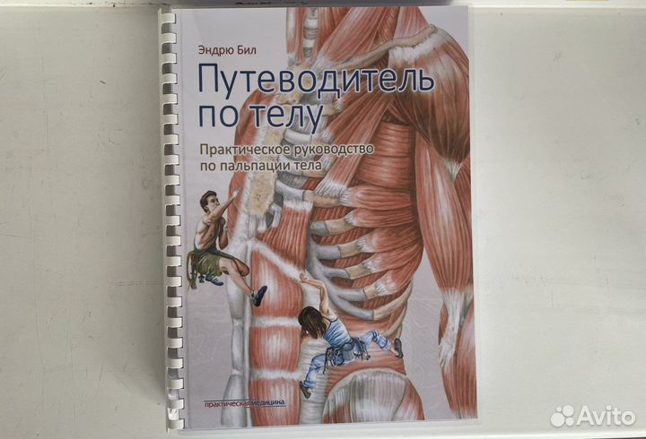 Путеводитель по телу