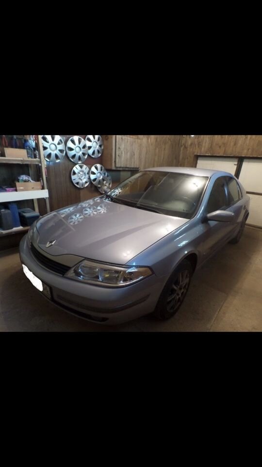 Renault Laguna: фото владельца