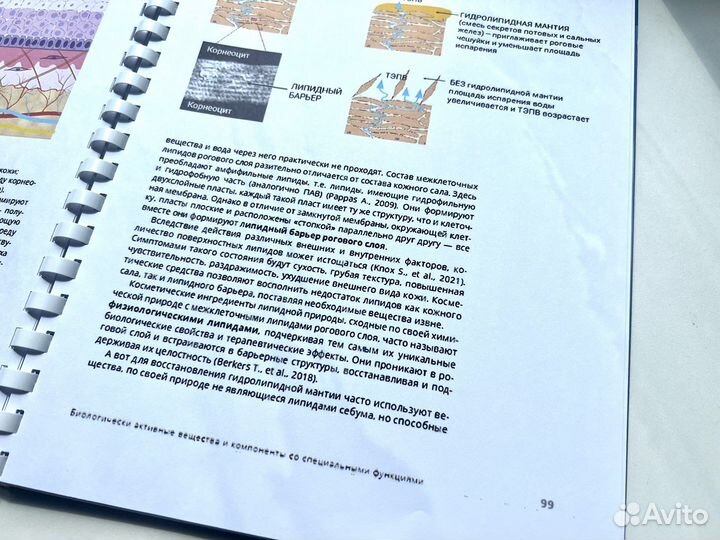 Анатомия современной косметики