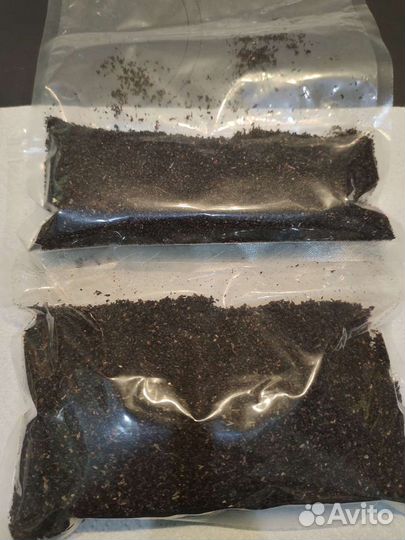 Пжвм восковая моль