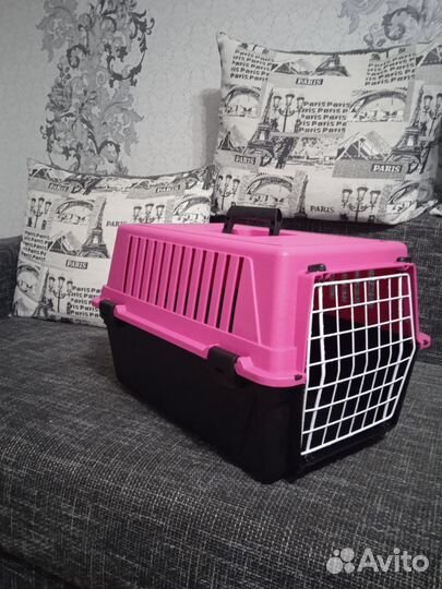 Аренда переноски для кошки, маленькой собачки