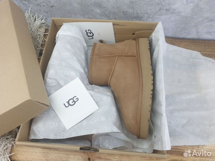 Ugg оригинал женские