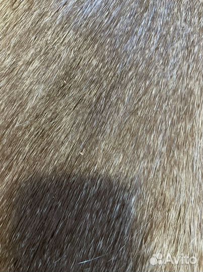 Шкурки нутрии