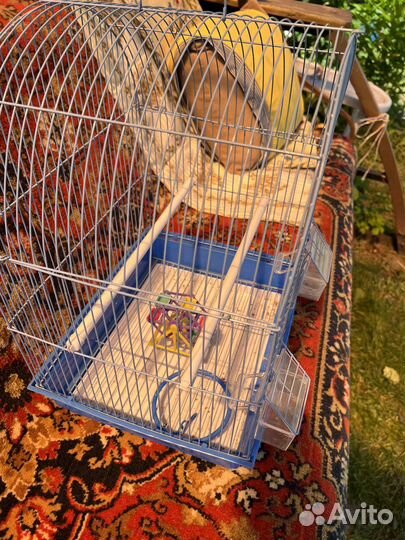 Клетка для попугая