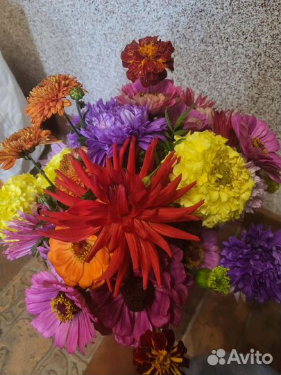 Букет цветы
