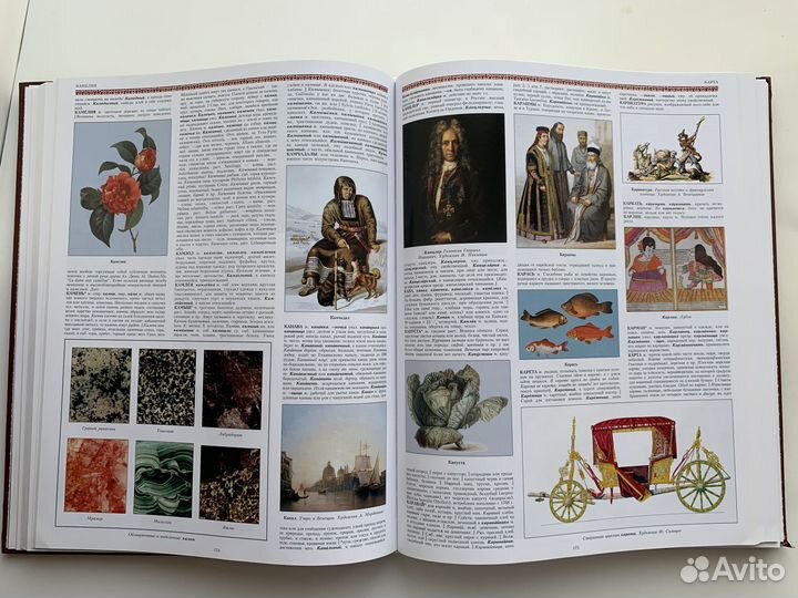 Иллюстрированный толковый словарь. В.И.Даль