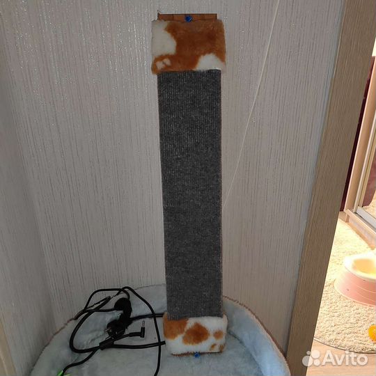 Когтеточка