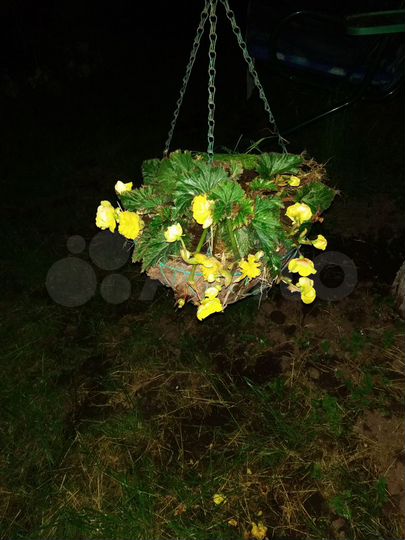 Дача 78 м² на участке 4 сот.