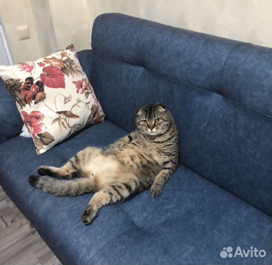 Перетяжка мебели, Ремонт мебели