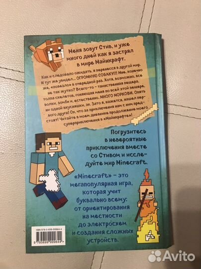 Книга дневник Стива