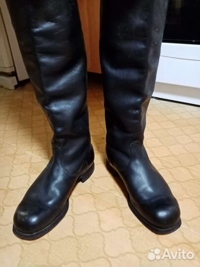 Сапоги офицерские