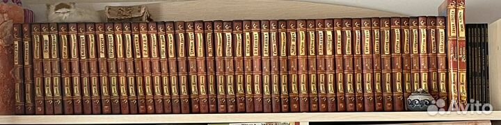 Книги, путеводители, манга Коты-Воители