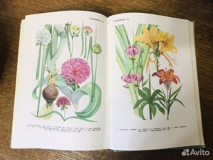 Справочники Птицы СССР Насекомые СССР и др