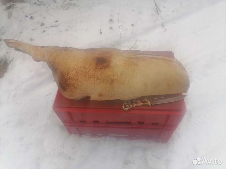 Свинина полутуши, четверти. Доставка