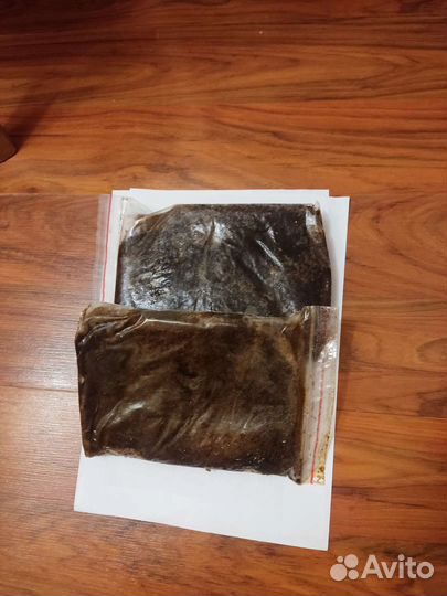 Артемия замороженная