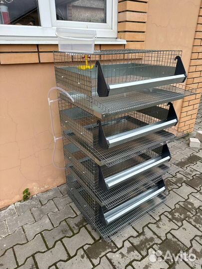 Клетки для перепелов