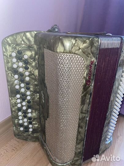 Баян итальянский