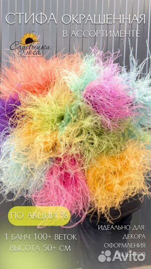 Окрашенная Стифа сухоцвет опт