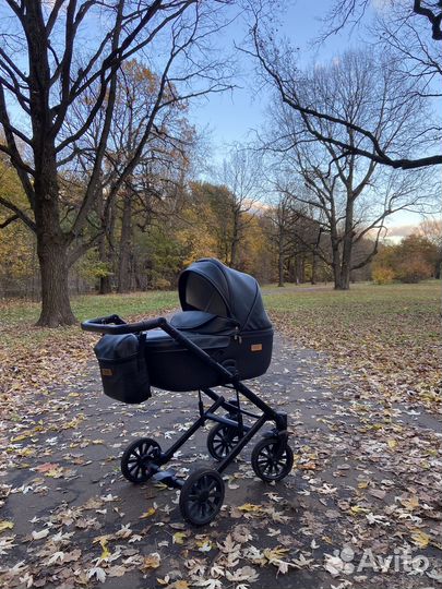Коляска anex cross 3 в 1