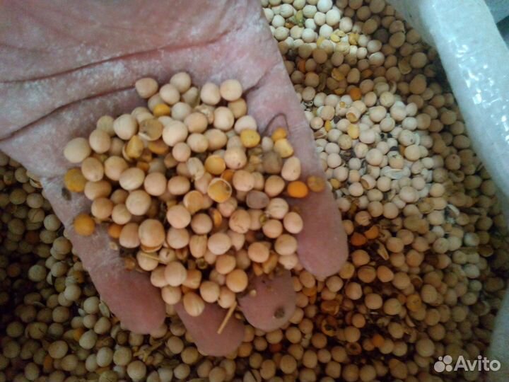 Гороховые продел,сечка,мучка,горох кормовой