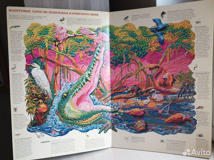 Книга для детей