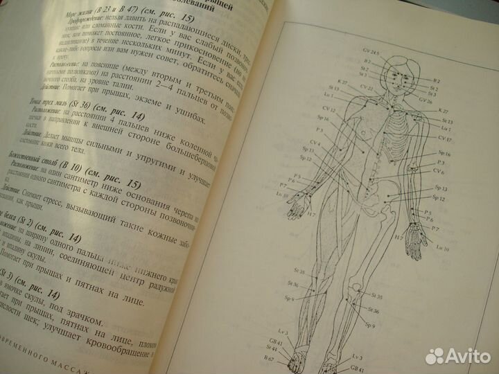 Книга Энциклопедия современного массажа