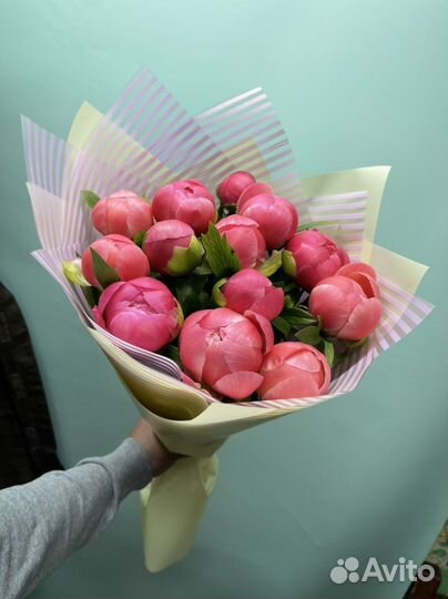 Пионы букеты цветы розы 51 штук 101штук