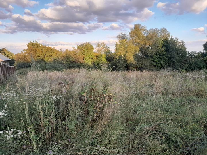 Участок 15 сот. (ИЖС)