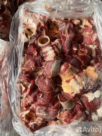 Мясная обрезь для собак