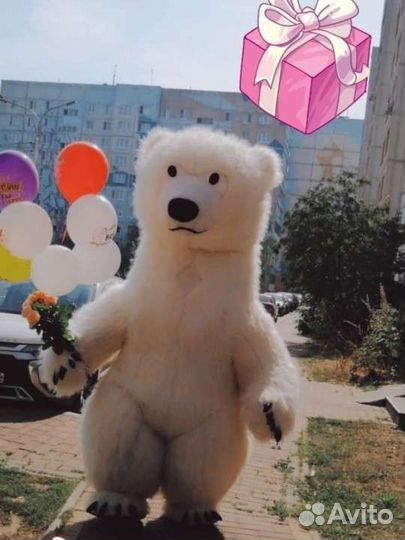 Поздравление от Медведя