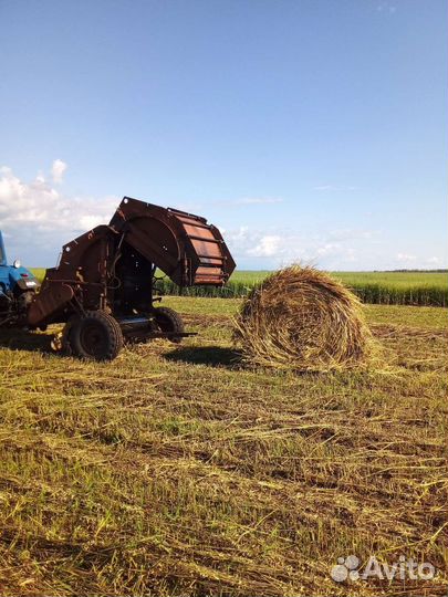 Сено Вика овёс