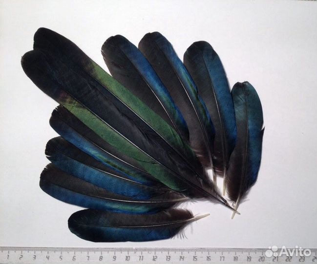 Перья для хэндмейда