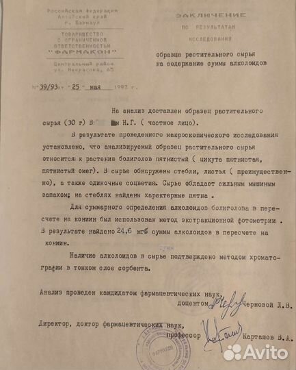 Болиголов, трава