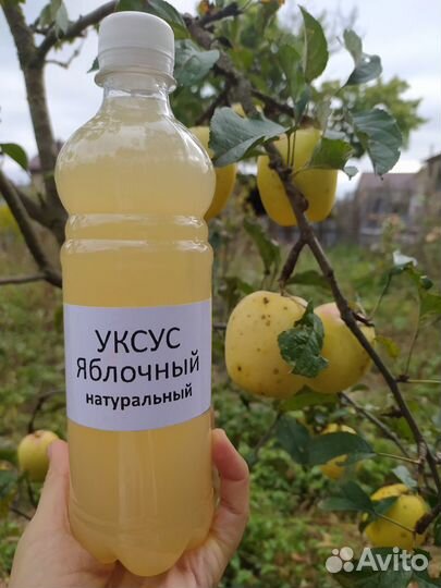 Яблочный уксус домашний