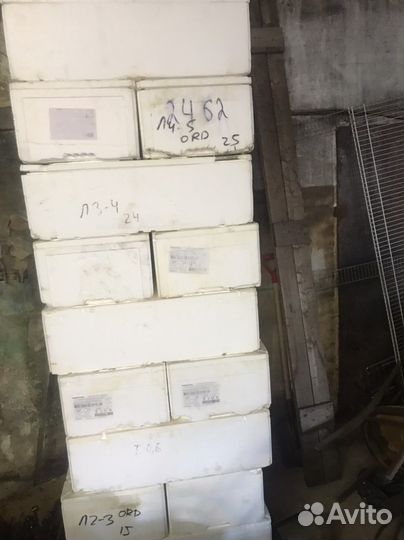 Термоконтейнер пенопласт