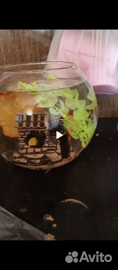 Продам аквариум