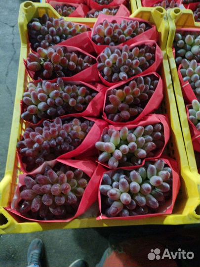 Фасовщица продавец